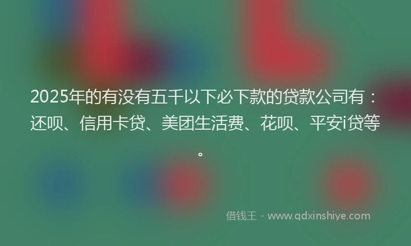 2025年的有没有五千以下必下款的贷款公司有：还呗、信用卡贷、美团生活费、花呗、平安i贷等。