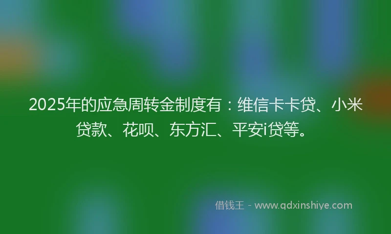 2025年的应急周转金制度有：维信卡卡贷、小米贷款、花呗、东方汇、平安i贷等。