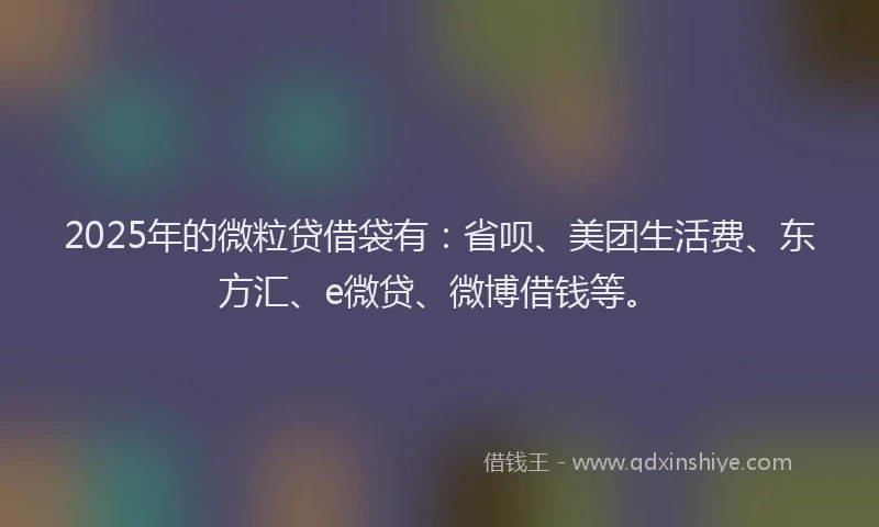 2025年的微粒贷借袋有：省呗、美团生活费、东方汇、e微贷、微博借钱等。