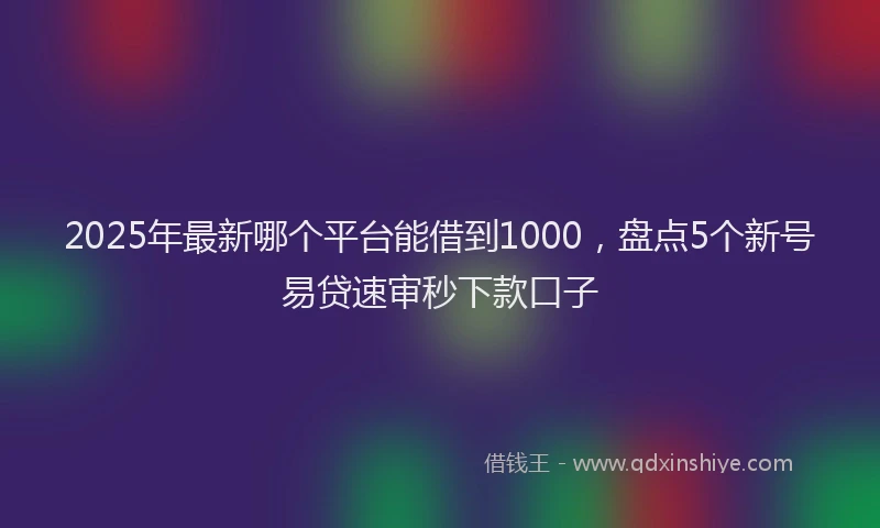 2025年最新哪个平台能借到1000，盘点5个新号易贷速审秒下款口子