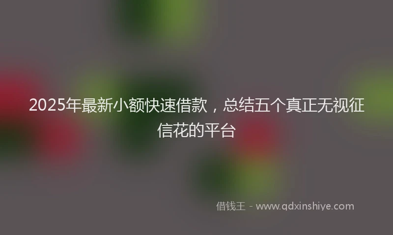 2025年最新小额快速借款，总结五个真正无视征信花的平台