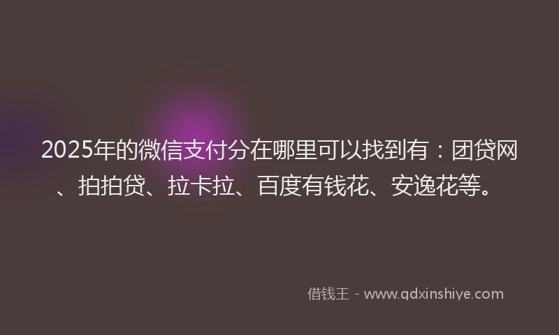 2025年的微信支付分在哪里可以找到有：团贷网、拍拍贷、拉卡拉、百度有钱花、安逸花等。