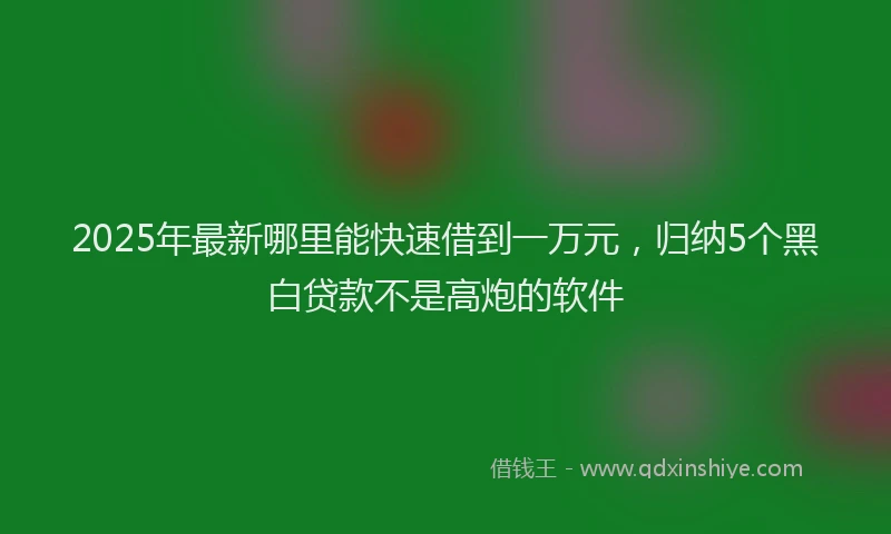 2025年最新哪里能快速借到一万元，归纳5个黑白贷款不是高炮的软件