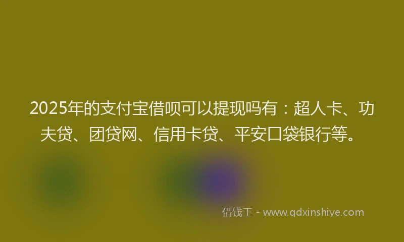 2025年的支付宝借呗可以提现吗有：超人卡、功夫贷、团贷网、信用卡贷、平安口袋银行等。