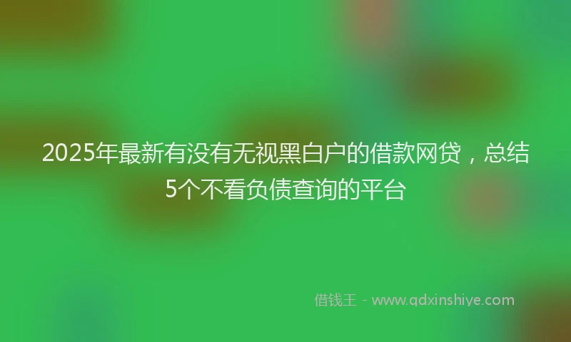 2025年最新有没有无视黑白户的借款网贷，总结5个不看负债查询的平台