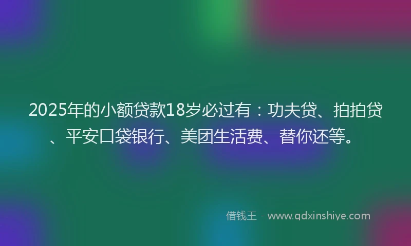 2025年的小额贷款18岁必过有：功夫贷、拍拍贷、平安口袋银行、美团生活费、替你还等。