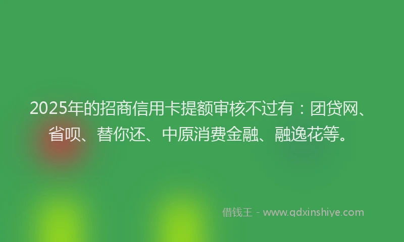 2025年的招商信用卡提额审核不过有：团贷网、省呗、替你还、中原消费金融、融逸花等。