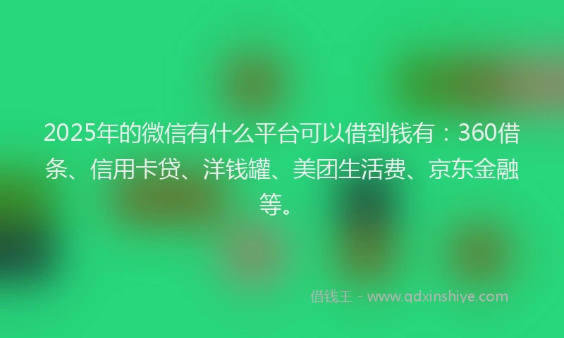 2025年的微信有什么平台可以借到钱有：360借条、信用卡贷、洋钱罐、美团生活费、京东金融等。