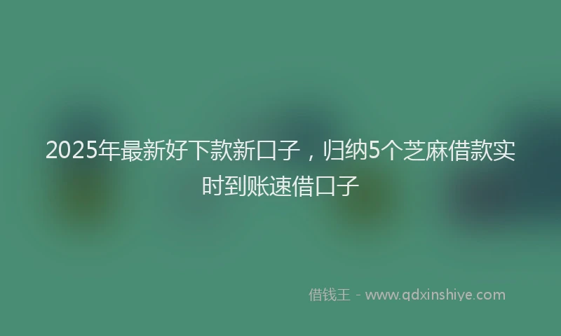 2025年最新好下款新口子，归纳5个芝麻借款实时到账速借口子