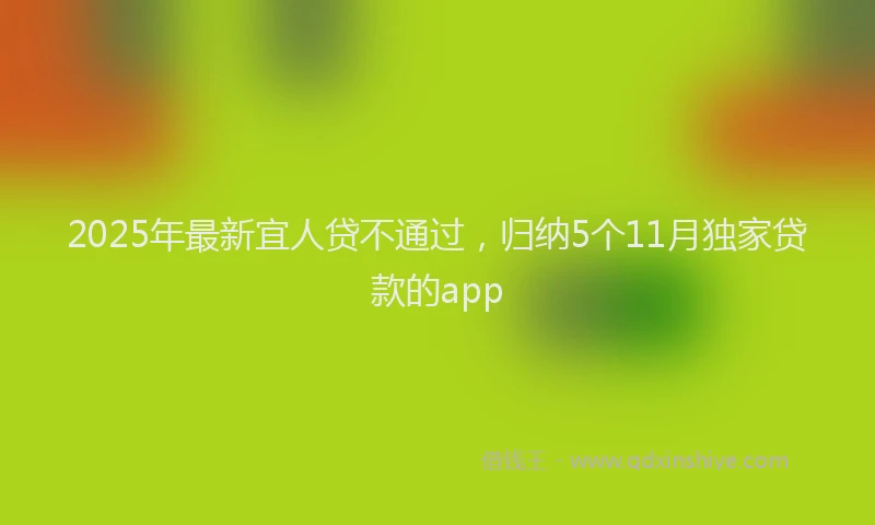 2025年最新宜人贷不通过，归纳5个11月独家贷款的app