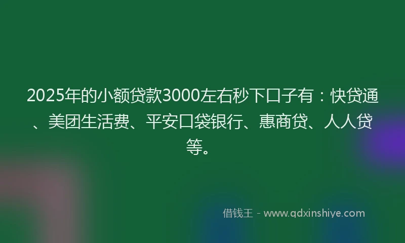 2025年的小额贷款3000左右秒下口子有：快贷通、美团生活费、平安口袋银行、惠商贷、人人贷等。