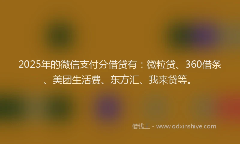 2025年的微信支付分借贷有：微粒贷、360借条、美团生活费、东方汇、我来贷等。