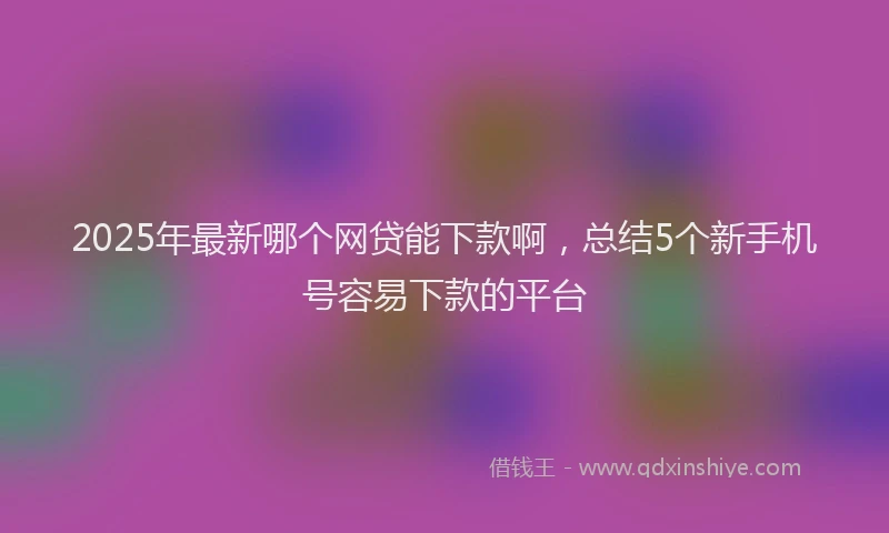 2025年最新哪个网贷能下款啊，总结5个新手机号容易下款的平台