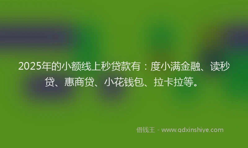 2025年的小额线上秒贷款有：度小满金融、读秒贷、惠商贷、小花钱包、拉卡拉等。