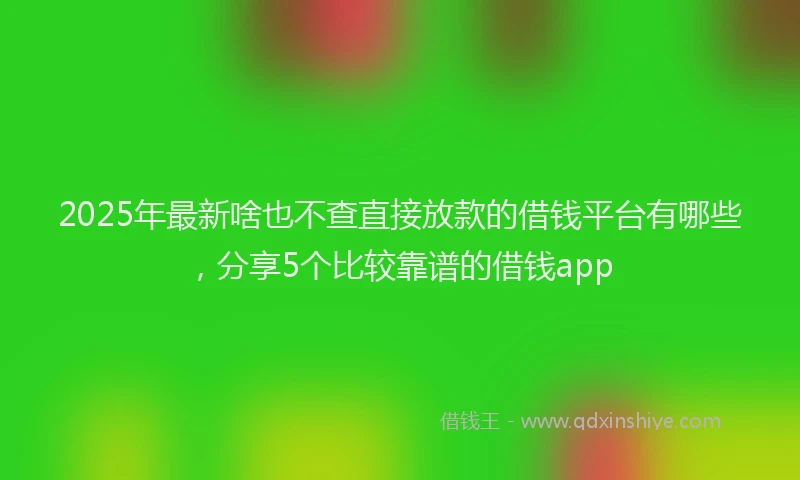 2025年最新啥也不查直接放款的借钱平台有哪些，分享5个比较靠谱的借钱app