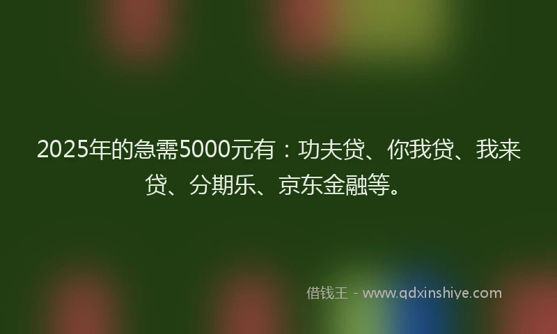 2025年的急需5000元有：功夫贷、你我贷、我来贷、分期乐、京东金融等。