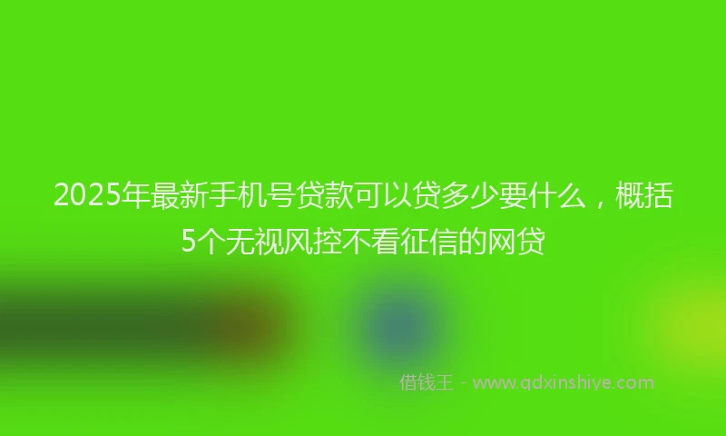 2025年最新手机号贷款可以贷多少要什么，概括5个无视风控不看征信的网贷