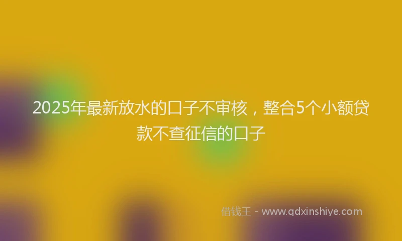2025年最新放水的口子不审核，整合5个小额贷款不查征信的口子