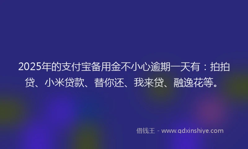 2025年的支付宝备用金不小心逾期一天有：拍拍贷、小米贷款、替你还、我来贷、融逸花等。
