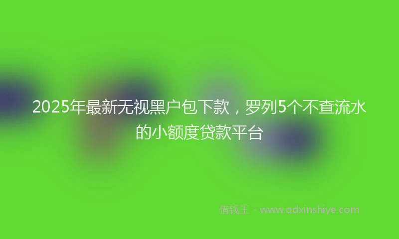 2025年最新无视黑户包下款，罗列5个不查流水的小额度贷款平台