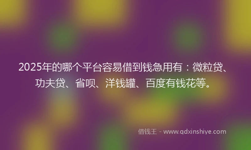 2025年的哪个平台容易借到钱急用有：微粒贷、功夫贷、省呗、洋钱罐、百度有钱花等。