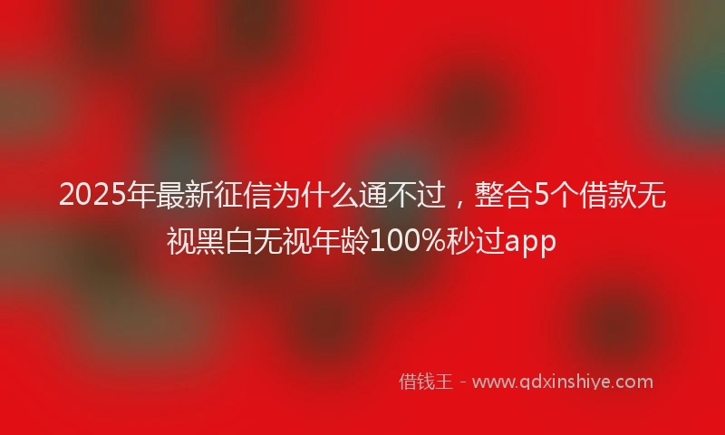 2025年最新征信为什么通不过，整合5个借款无视黑白无视年龄100%秒过app