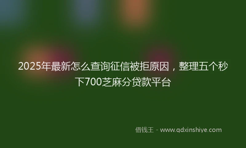 2025年最新怎么查询征信被拒原因，整理五个秒下700芝麻分贷款平台