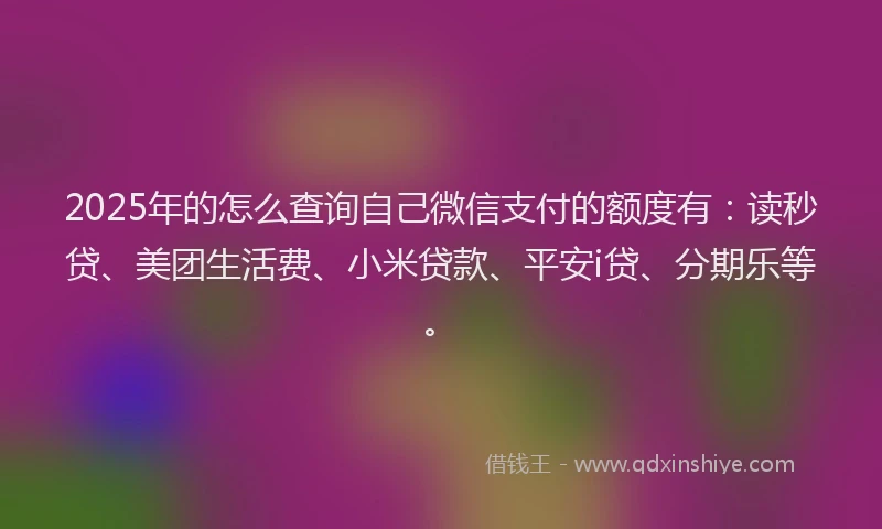 2025年的怎么查询自己微信支付的额度有：读秒贷、美团生活费、小米贷款、平安i贷、分期乐等。