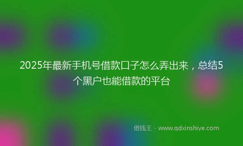 2025年最新手机号借款口子怎么弄出来，总结5个黑户也能借款的平台