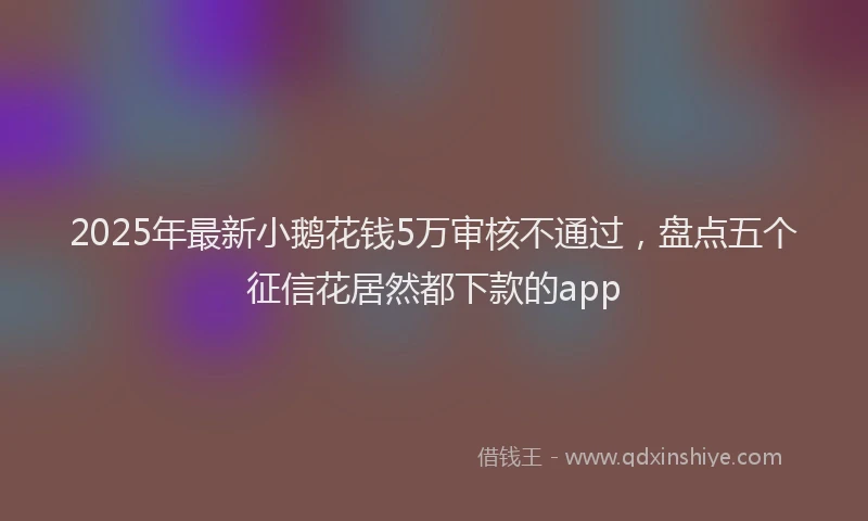2025年最新小鹅花钱5万审核不通过，盘点五个征信花居然都下款的app