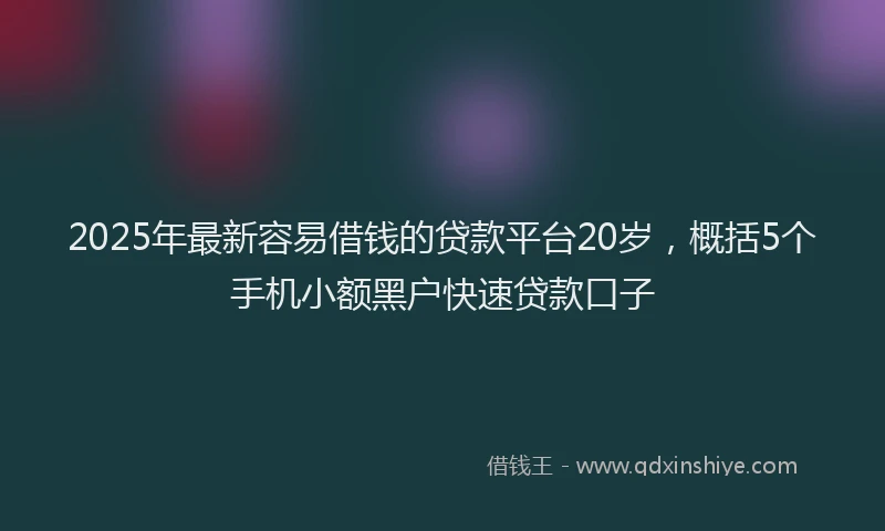 2025年最新容易借钱的贷款平台20岁，概括5个手机小额黑户快速贷款口子