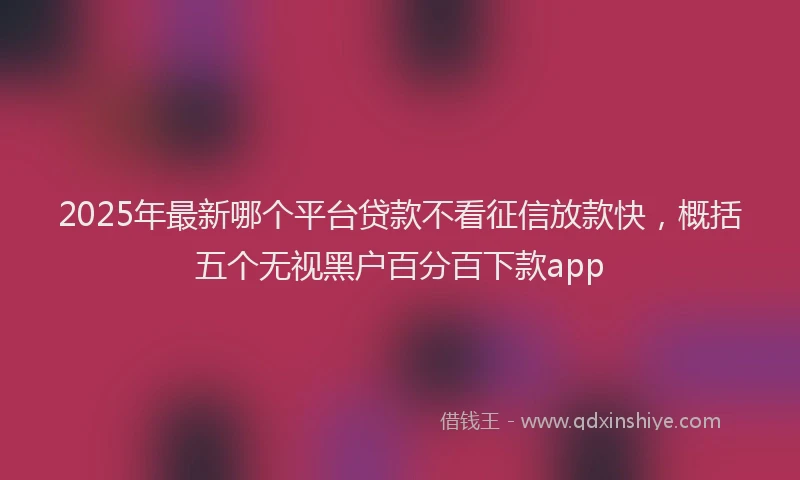 2025年最新哪个平台贷款不看征信放款快，概括五个无视黑户百分百下款app