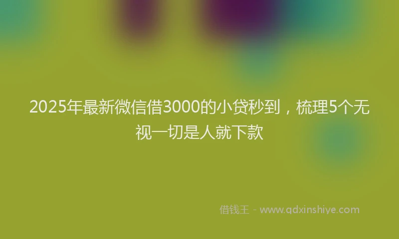 2025年最新微信借3000的小贷秒到，梳理5个无视一切是人就下款