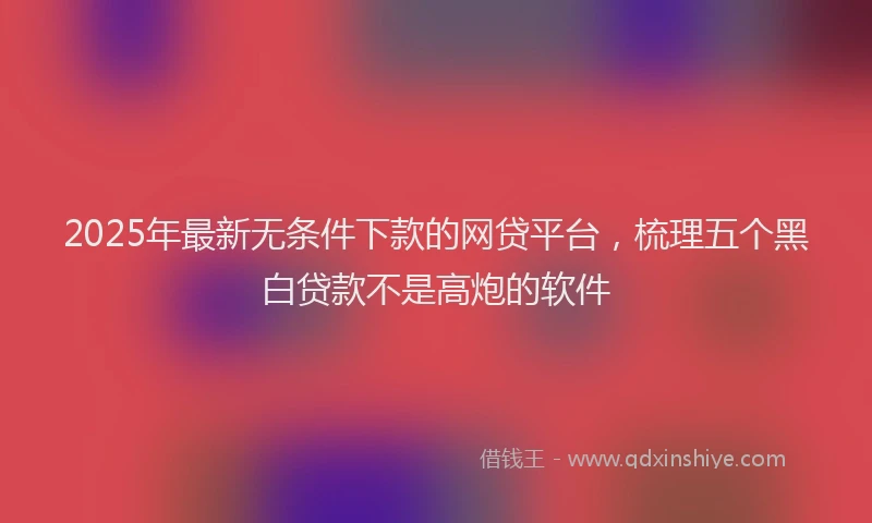 2025年最新无条件下款的网贷平台，梳理五个黑白贷款不是高炮的软件