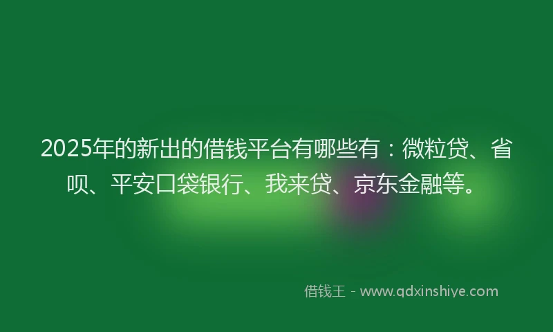2025年的新出的借钱平台有哪些有：微粒贷、省呗、平安口袋银行、我来贷、京东金融等。
