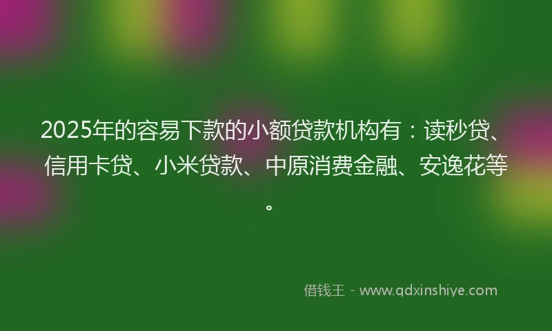 2025年的容易下款的小额贷款机构有：读秒贷、信用卡贷、小米贷款、中原消费金融、安逸花等。