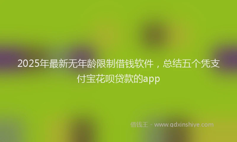 2025年最新无年龄限制借钱软件，总结五个凭支付宝花呗贷款的app