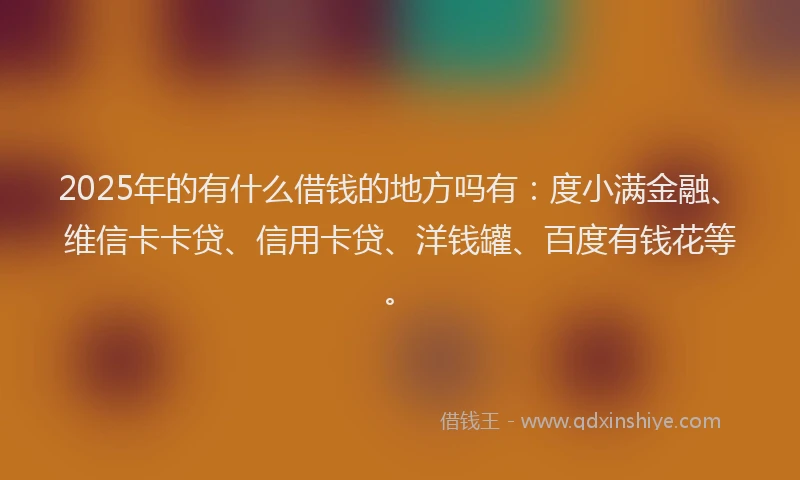 2025年的有什么借钱的地方吗有：度小满金融、维信卡卡贷、信用卡贷、洋钱罐、百度有钱花等。