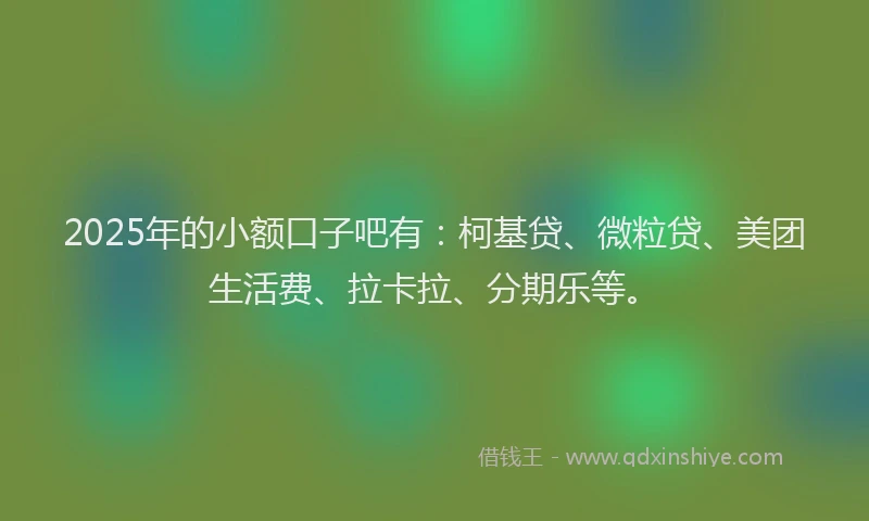 2025年的小额口子吧有：柯基贷、微粒贷、美团生活费、拉卡拉、分期乐等。