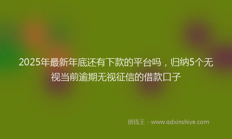 2025年最新年底还有下款的平台吗，归纳5个无视当前逾期无视征信的借款口子