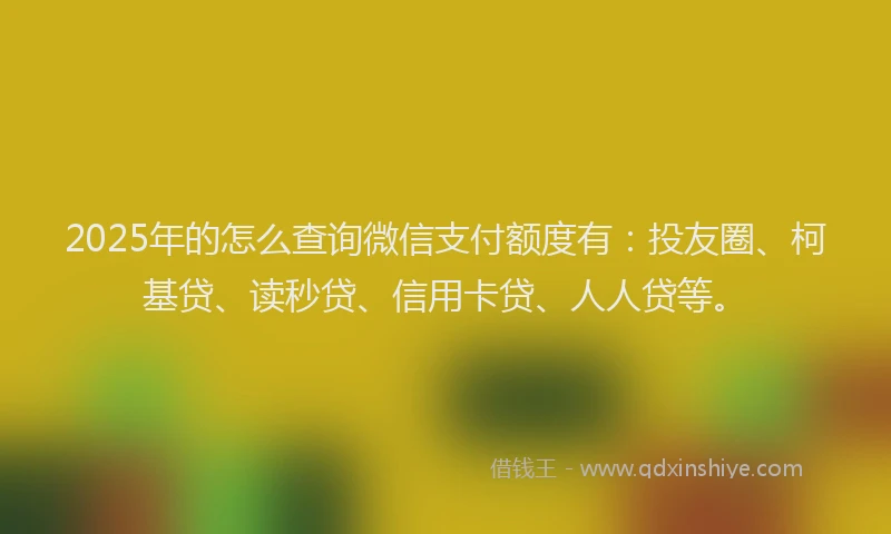 2025年的怎么查询微信支付额度有：投友圈、柯基贷、读秒贷、信用卡贷、人人贷等。
