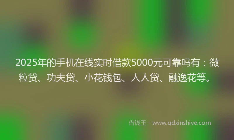 2025年的手机在线实时借款5000元可靠吗有：微粒贷、功夫贷、小花钱包、人人贷、融逸花等。