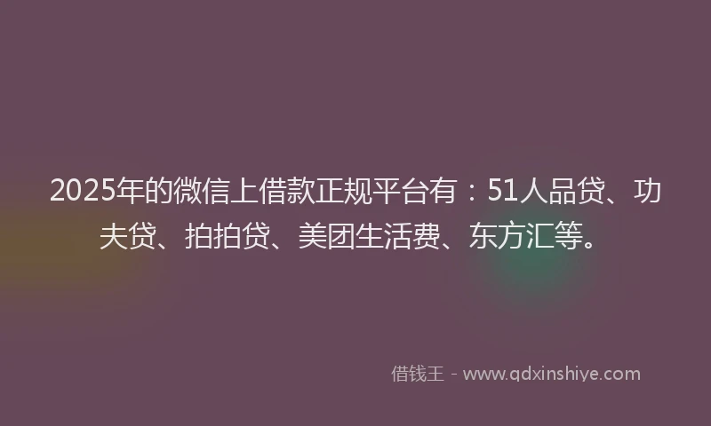 2025年的微信上借款正规平台有：51人品贷、功夫贷、拍拍贷、美团生活费、东方汇等。