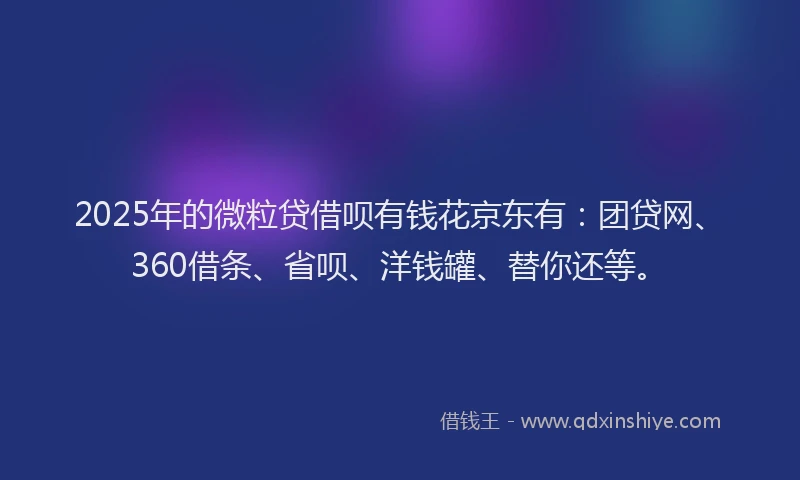 2025年的微粒贷借呗有钱花京东有：团贷网、360借条、省呗、洋钱罐、替你还等。