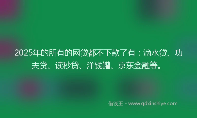 2025年的所有的网贷都不下款了有：滴水贷、功夫贷、读秒贷、洋钱罐、京东金融等。