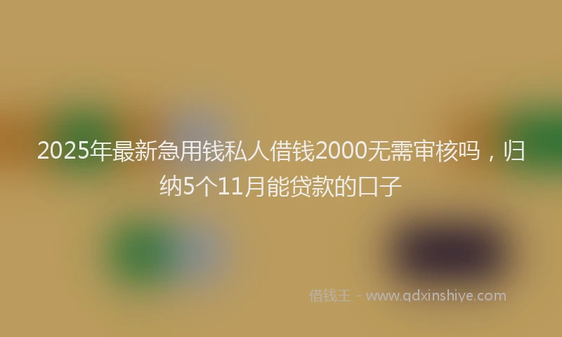 2025年最新急用钱私人借钱2000无需审核吗，归纳5个11月能贷款的口子