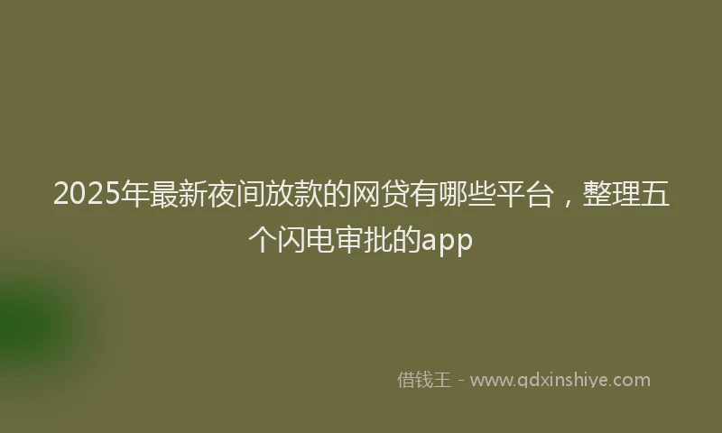 2025年最新夜间放款的网贷有哪些平台，整理五个闪电审批的app