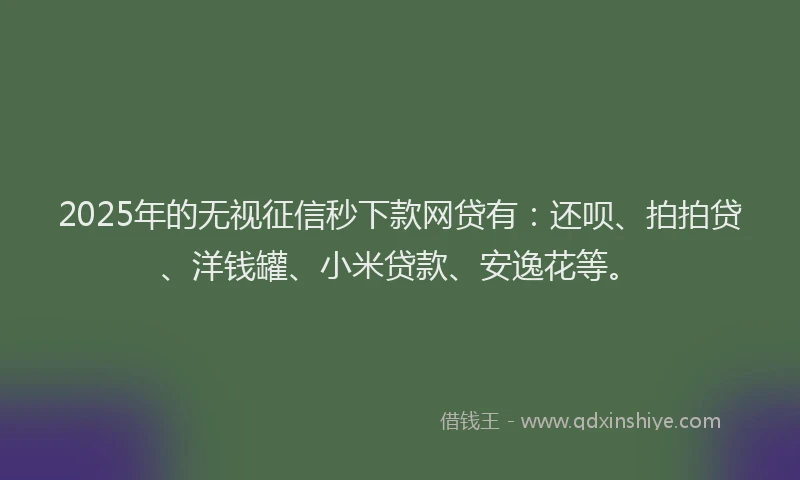 2025年的无视征信秒下款网贷有：还呗、拍拍贷、洋钱罐、小米贷款、安逸花等。