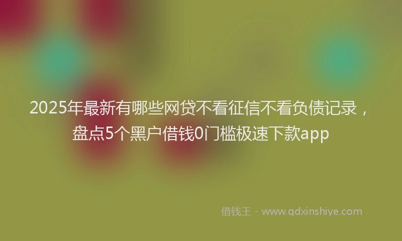 2025年最新有哪些网贷不看征信不看负债记录，盘点5个黑户借钱0门槛极速下款app