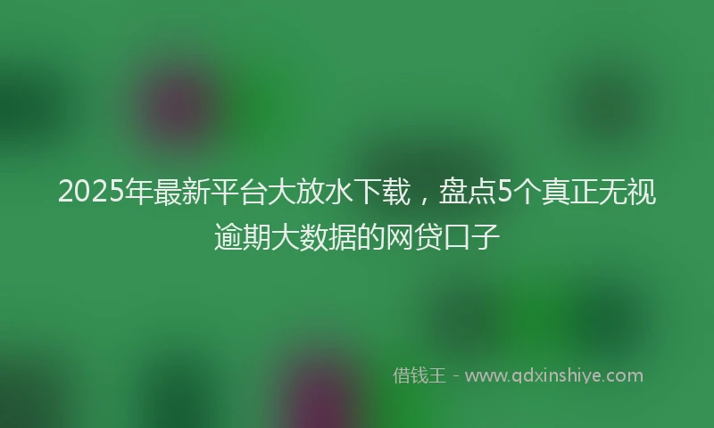 2025年最新平台大放水下载，盘点5个真正无视逾期大数据的网贷口子